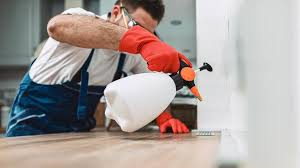 Best Pest Exclusion Services  in Kraemer, LA