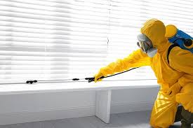 Best Fumigation Services  in Kraemer, LA